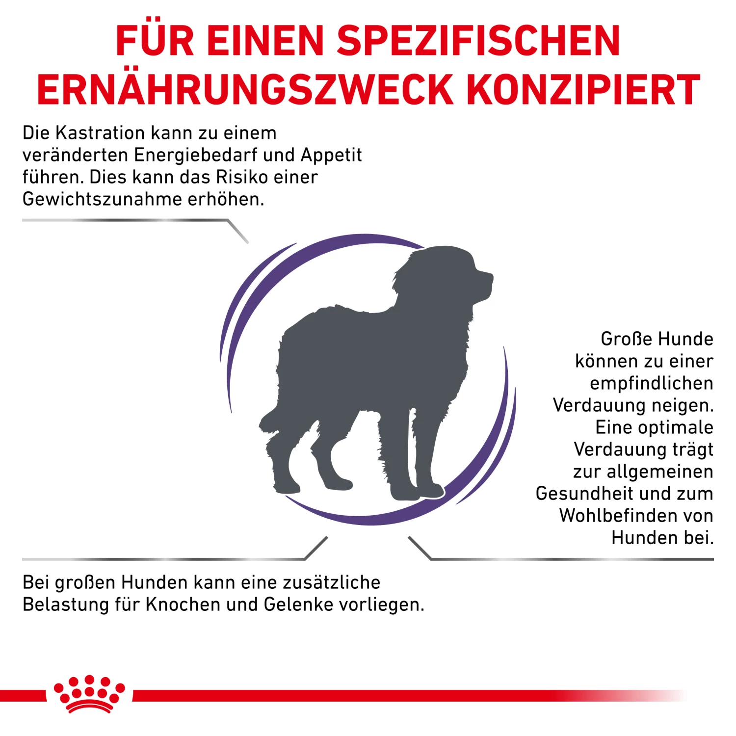 Royal Canin Neutered Adult Large Dogs Trockenfutter Hund – Bild 2