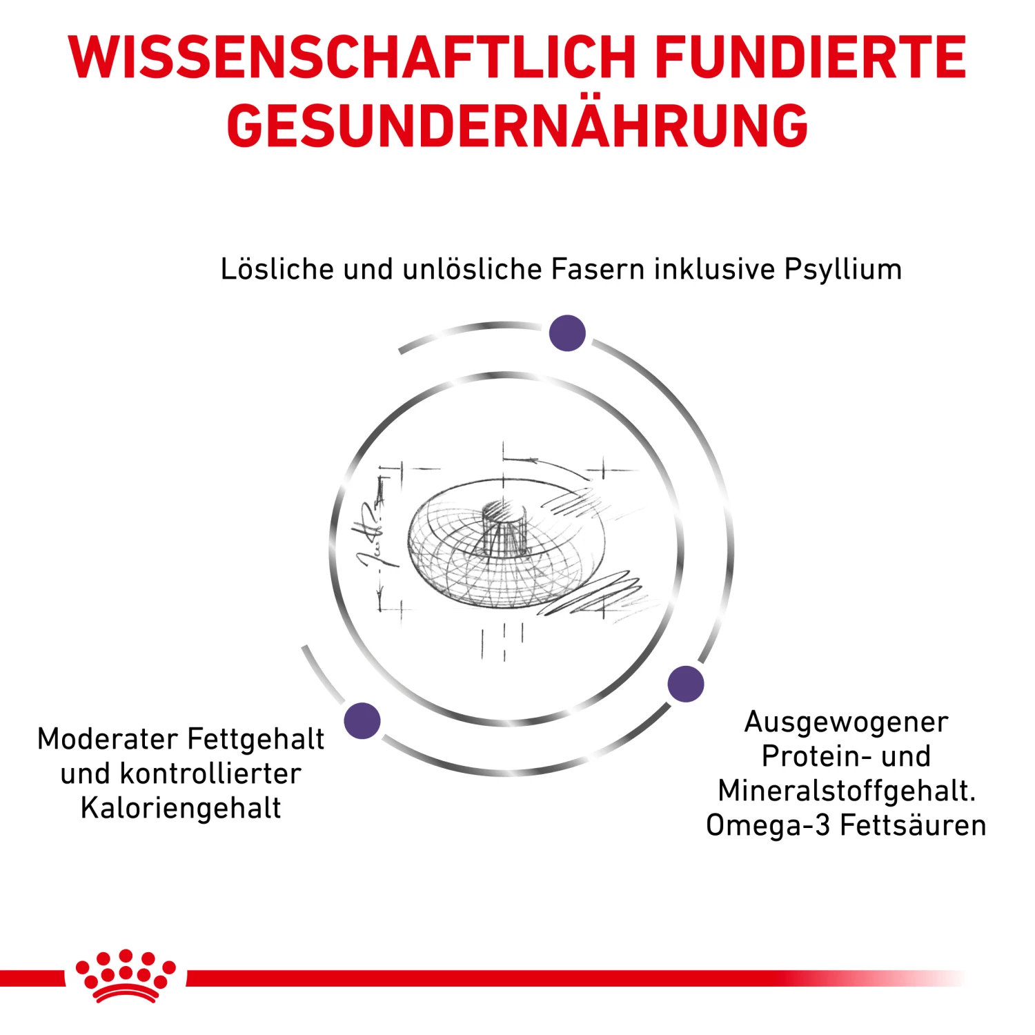 Royal Canin Neutered Adult Large Dogs Trockenfutter Hund – Bild 3