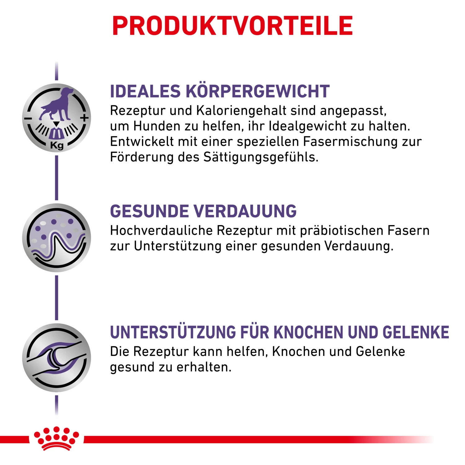 Royal Canin Neutered Adult Large Dogs Trockenfutter Hund – Bild 4