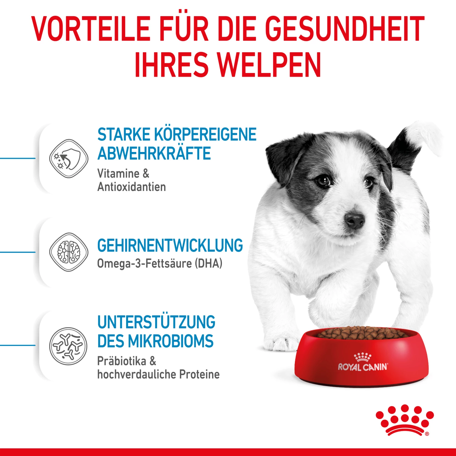 Royal Canin Mini Puppy Trockenfutter Für Welpen Kleiner Hunderassen – Bild 3