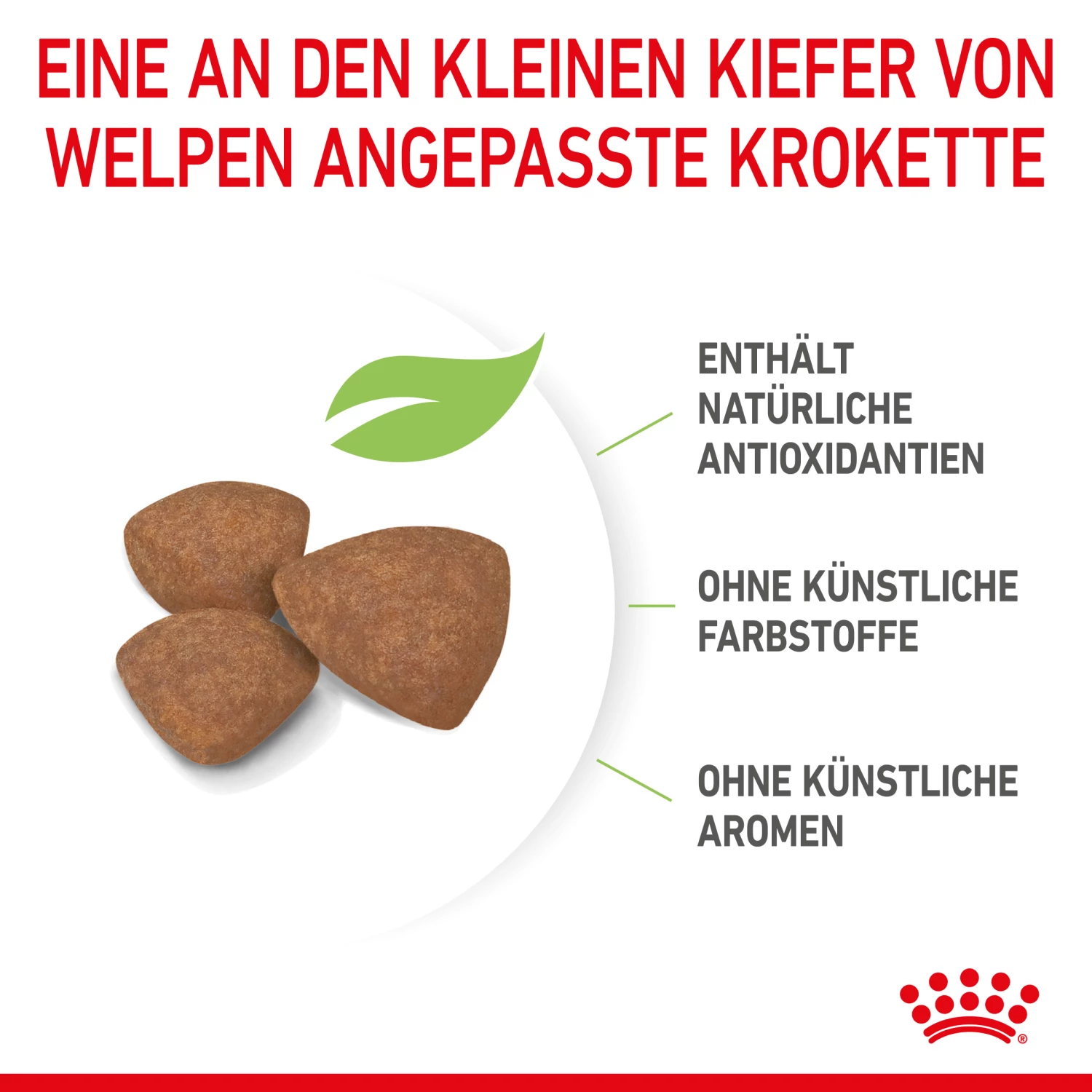 Royal Canin Mini Puppy Trockenfutter Für Welpen Kleiner Hunderassen – Bild 4