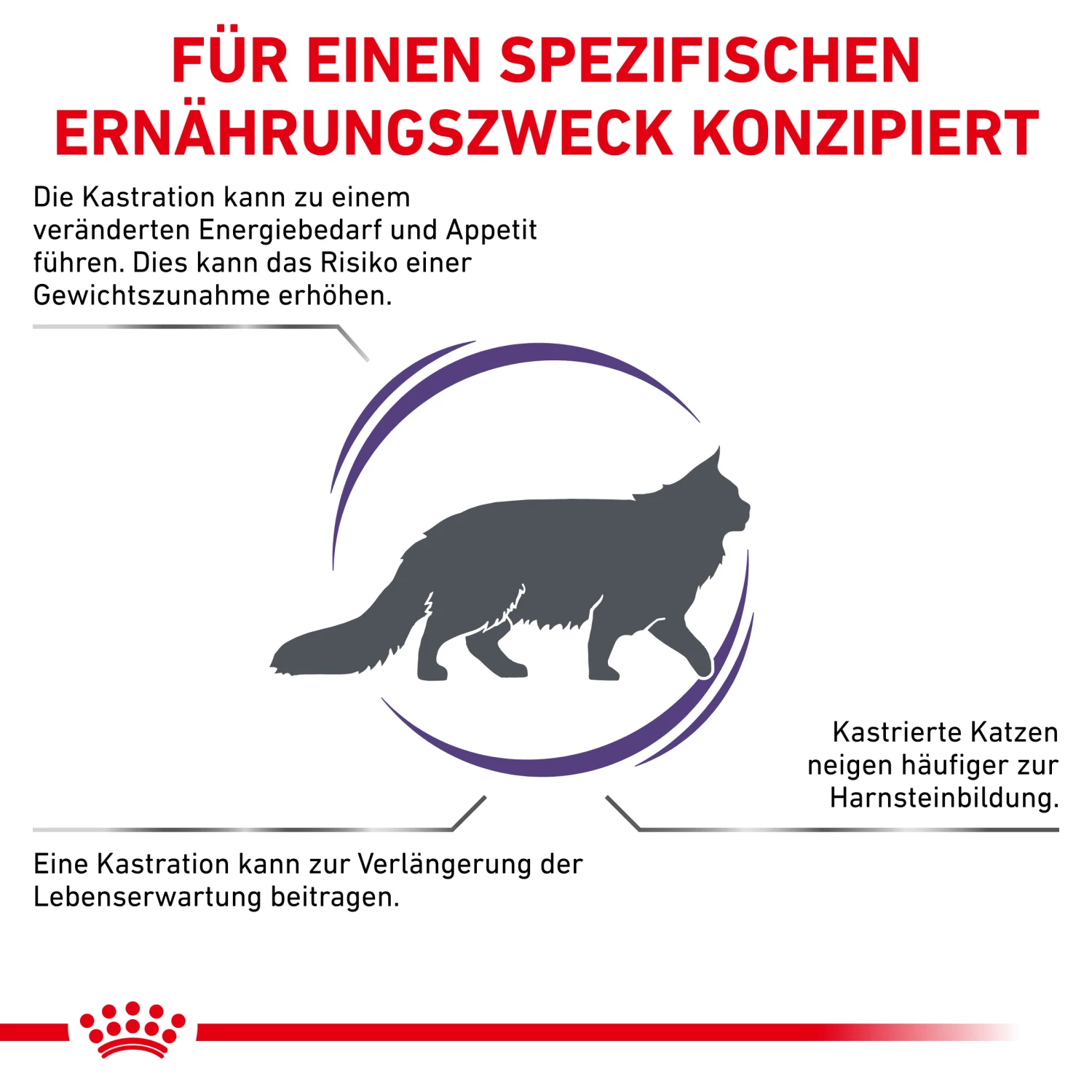 Royal Canin Neutered Satiety Balance Trockenfutter Katze – Bild 2