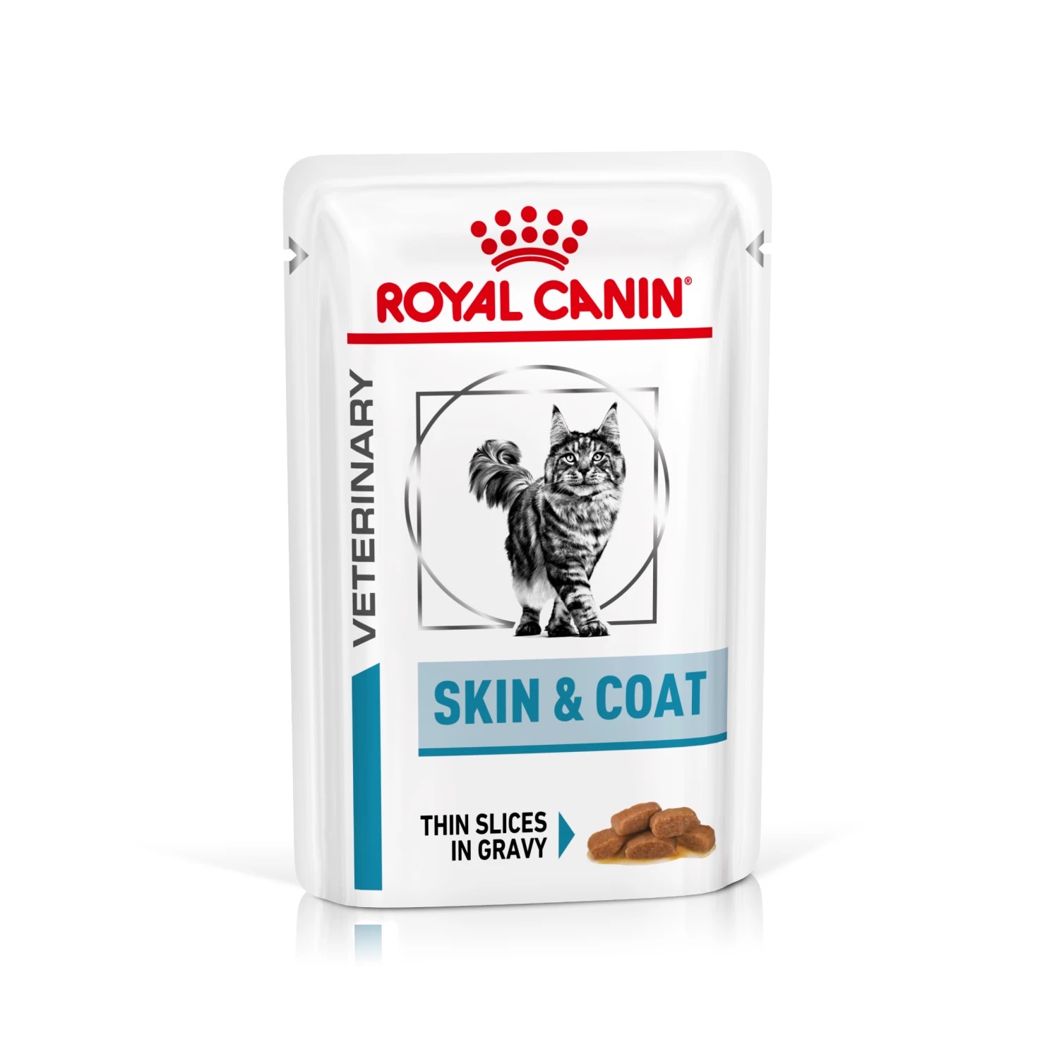 Royal Canin Skin & Coat Nassfutter Katze 12 X 85 G
