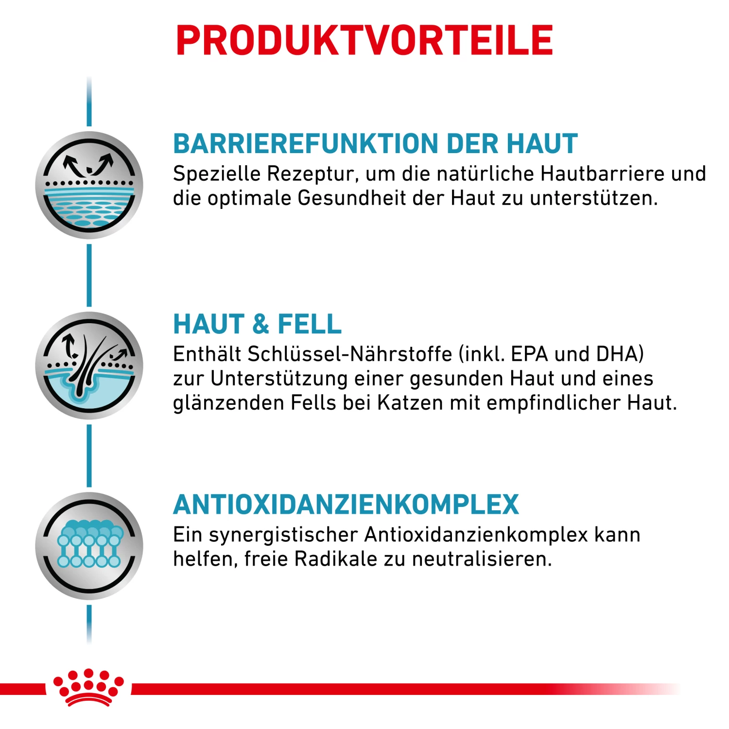 Royal Canin Skin & Coat Nassfutter Katze 12 X 85 G – Bild 3