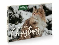 AniForte Adventskalender 2023 Für Katzen