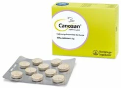 Boehringer Ingelheim Canosan® Kautabletten Für Hunde