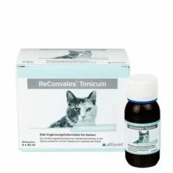 Reconvales Tonicum Katze