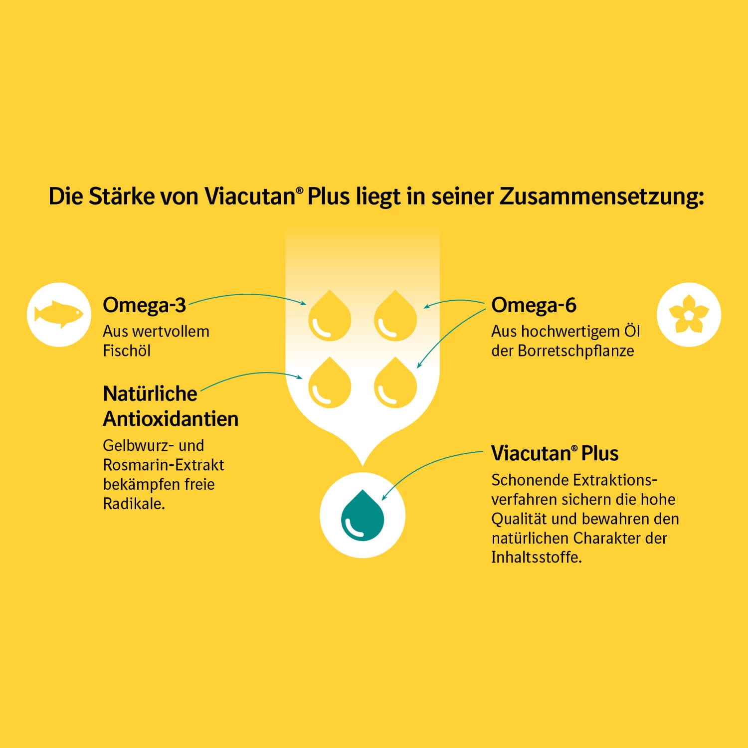 Boehringer Ingelheim Viacutan® Plus Doser Für Hunde Und Katzen – Bild 3